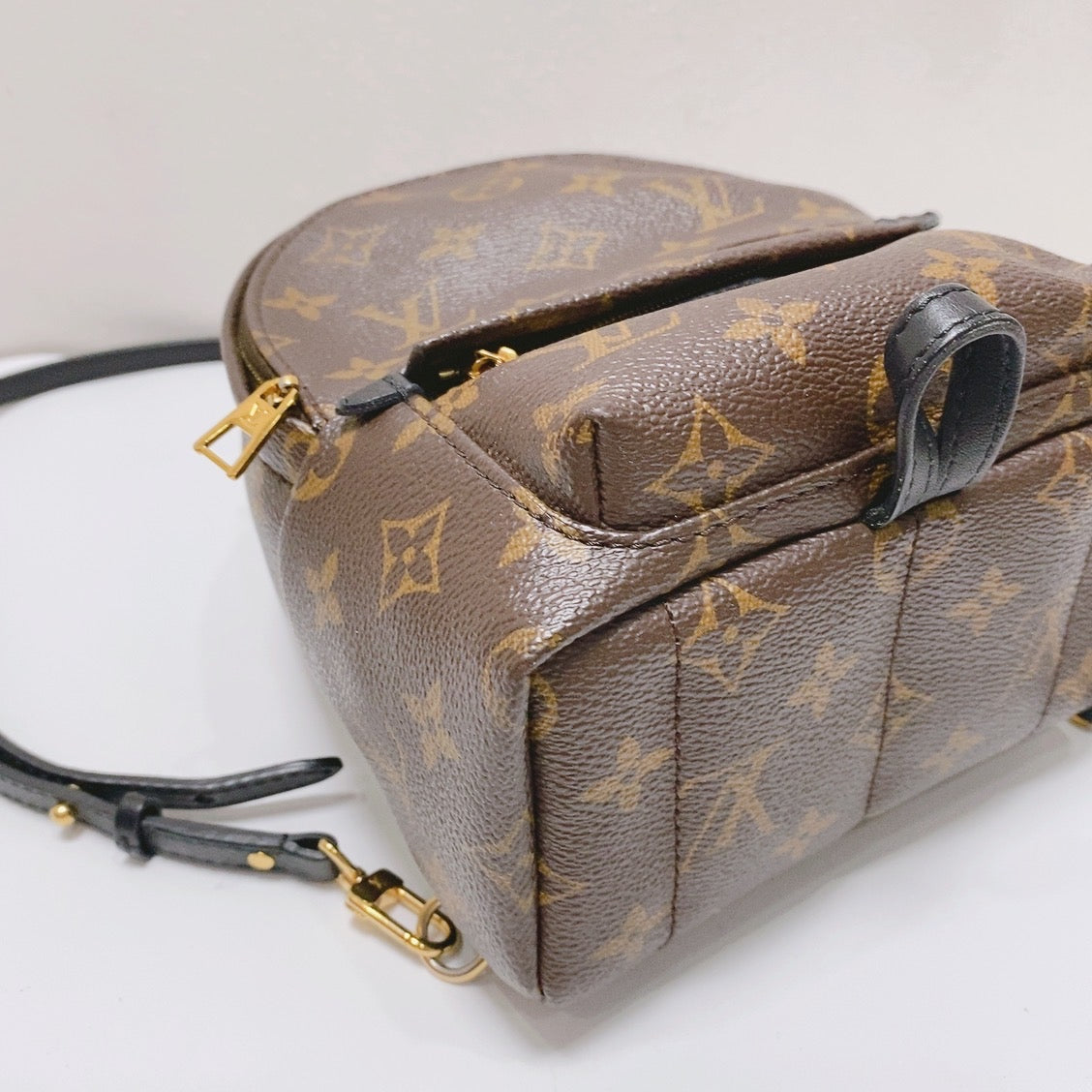 Louis Vuitton - Palm Springs - Synthetic - Brown - (mini)