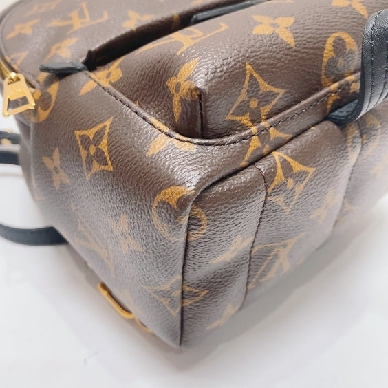 Louis Vuitton - Palm Springs - Synthetic - Brown - (mini)