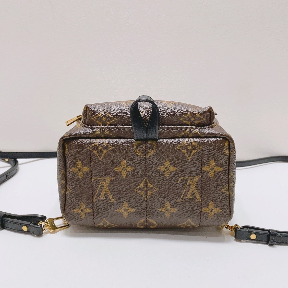 Louis Vuitton - Palm Springs - Synthetic - Brown - (mini)