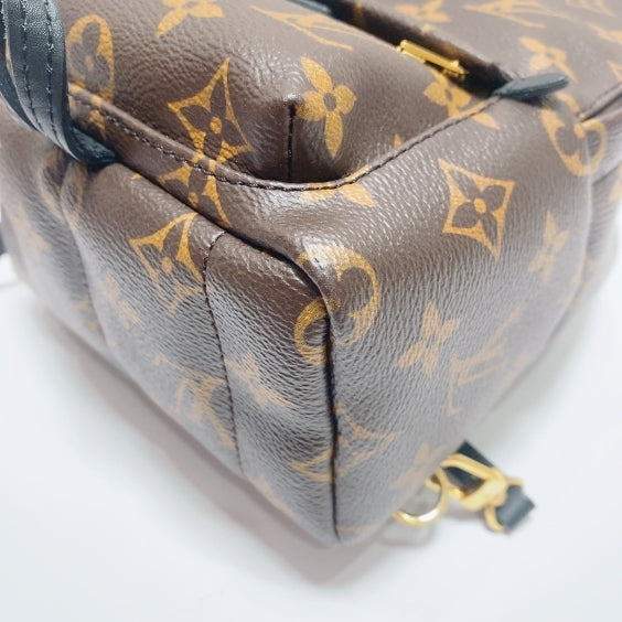 Louis Vuitton - Palm Springs - Synthetic - Brown - (mini)