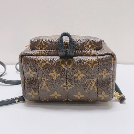 Louis Vuitton - Palm Springs - Synthetic - Brown - (mini)