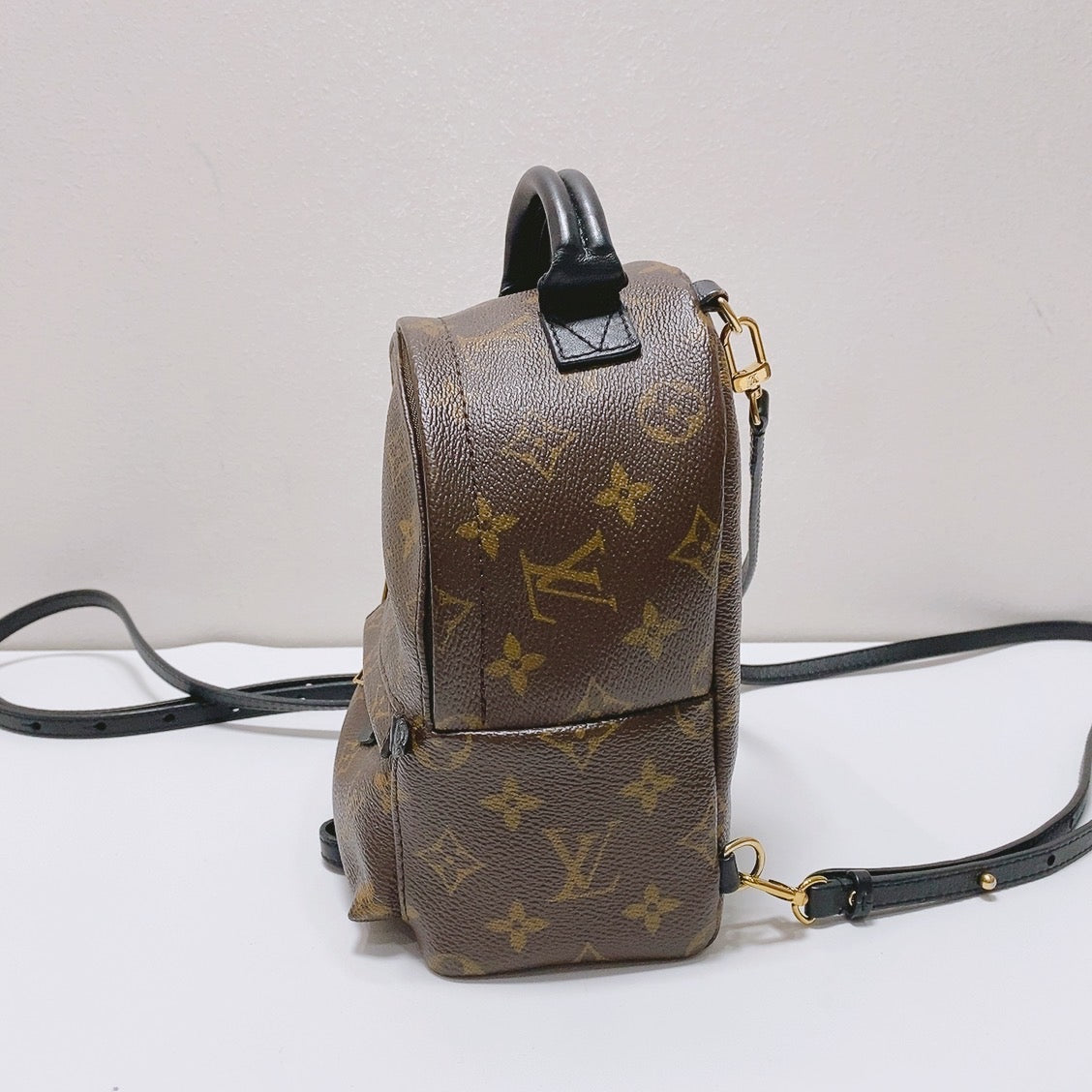 Louis Vuitton - Palm Springs - Synthetic - Brown - (mini)