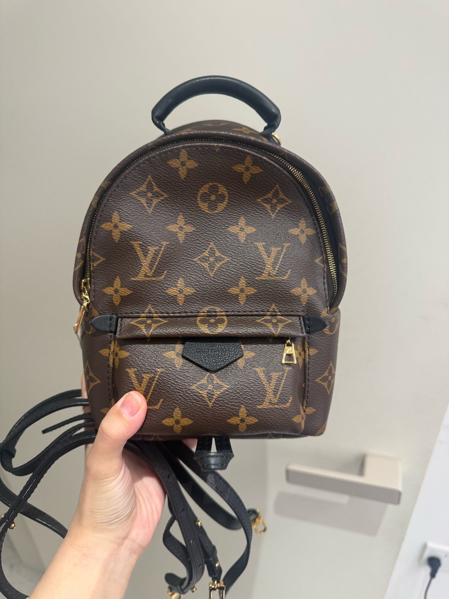 Louis Vuitton - Palm Springs - Synthetic - Brown - (mini)