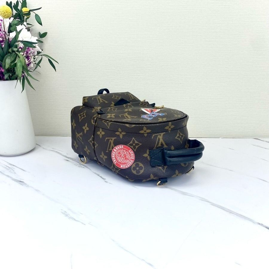 Louis Vuitton - Palm Springs - Synthetic - Brown - (mini)