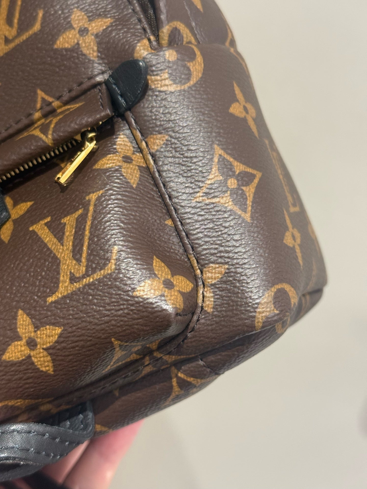 Louis Vuitton - Palm Springs - Synthetic - Brown - (mini)