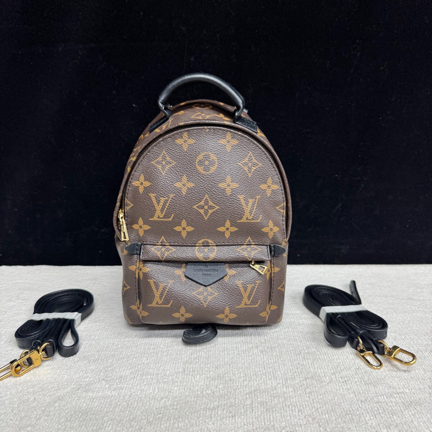 Louis Vuitton - Palms Springs Mini - Leather - Brown - (mini)