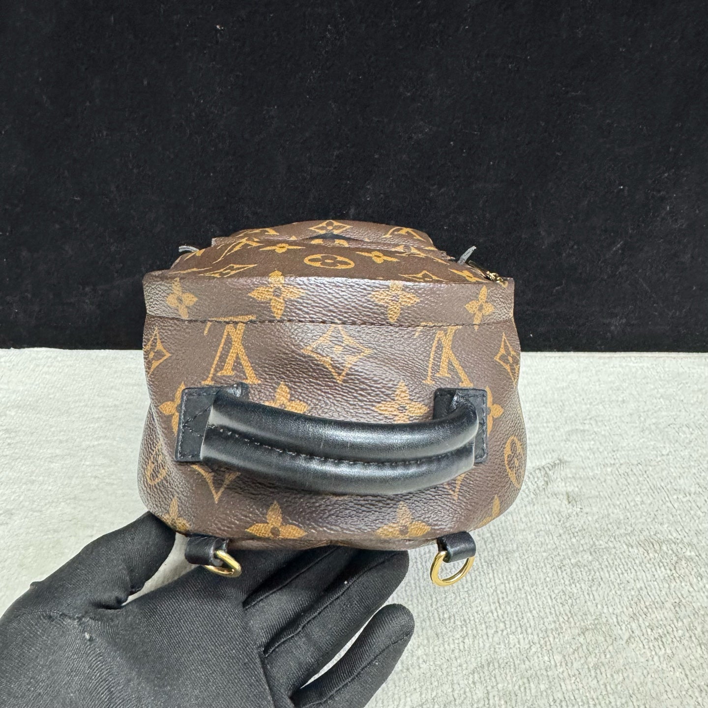 Louis Vuitton - Palms Springs Mini - Leather - Brown - (mini)