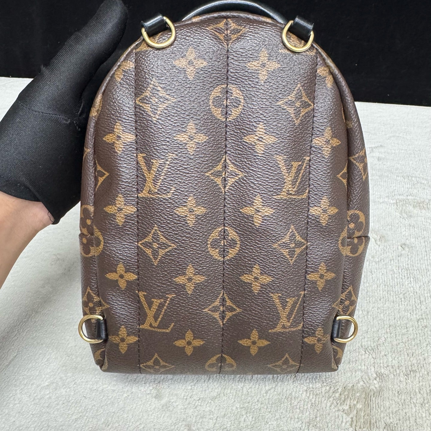 Louis Vuitton - Palms Springs Mini - Leather - Brown - (mini)