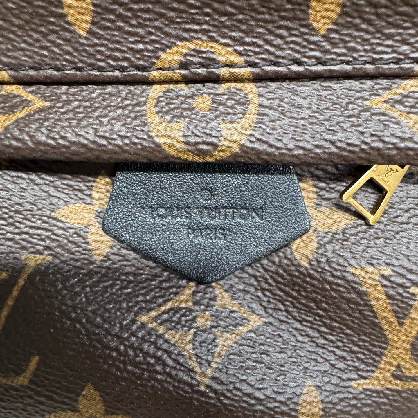 Louis Vuitton - Palms Springs Mini - Leather - Brown - (mini)