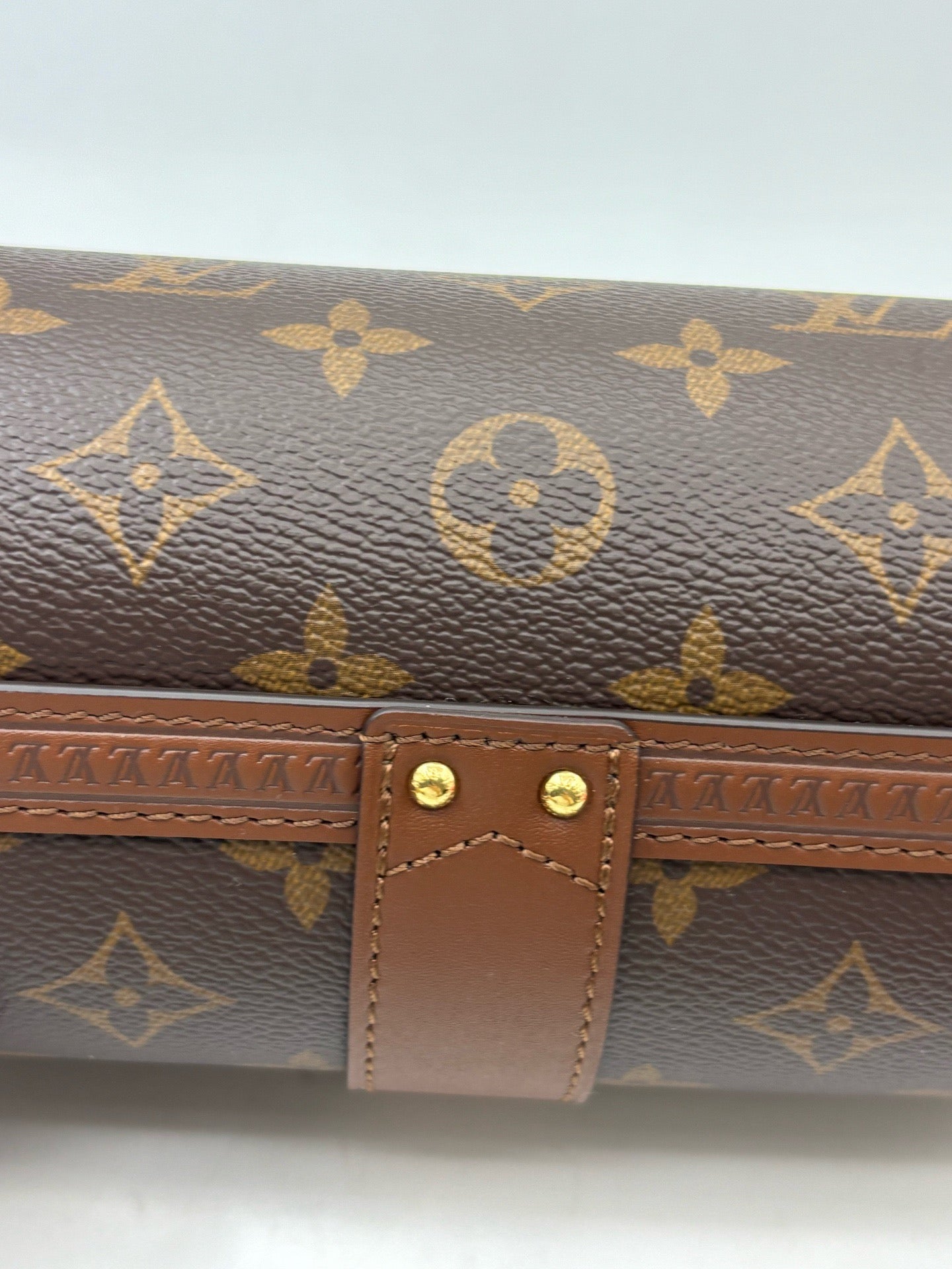 Louis Vuitton - Papillon Trunk - Leather - Brown - (mini)