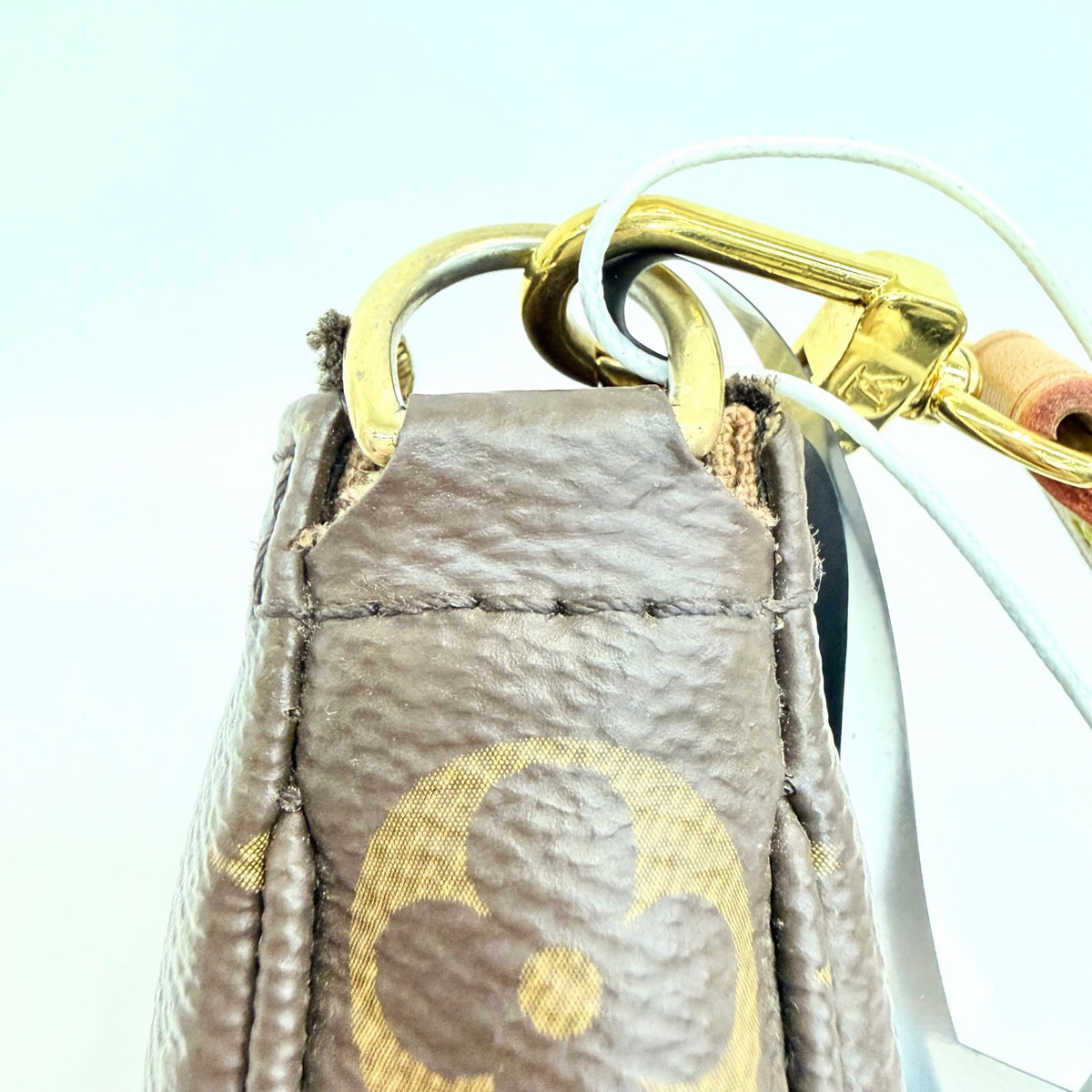 Louis Vuitton - Pochette Accessories - Cloth - Brown - (mini)