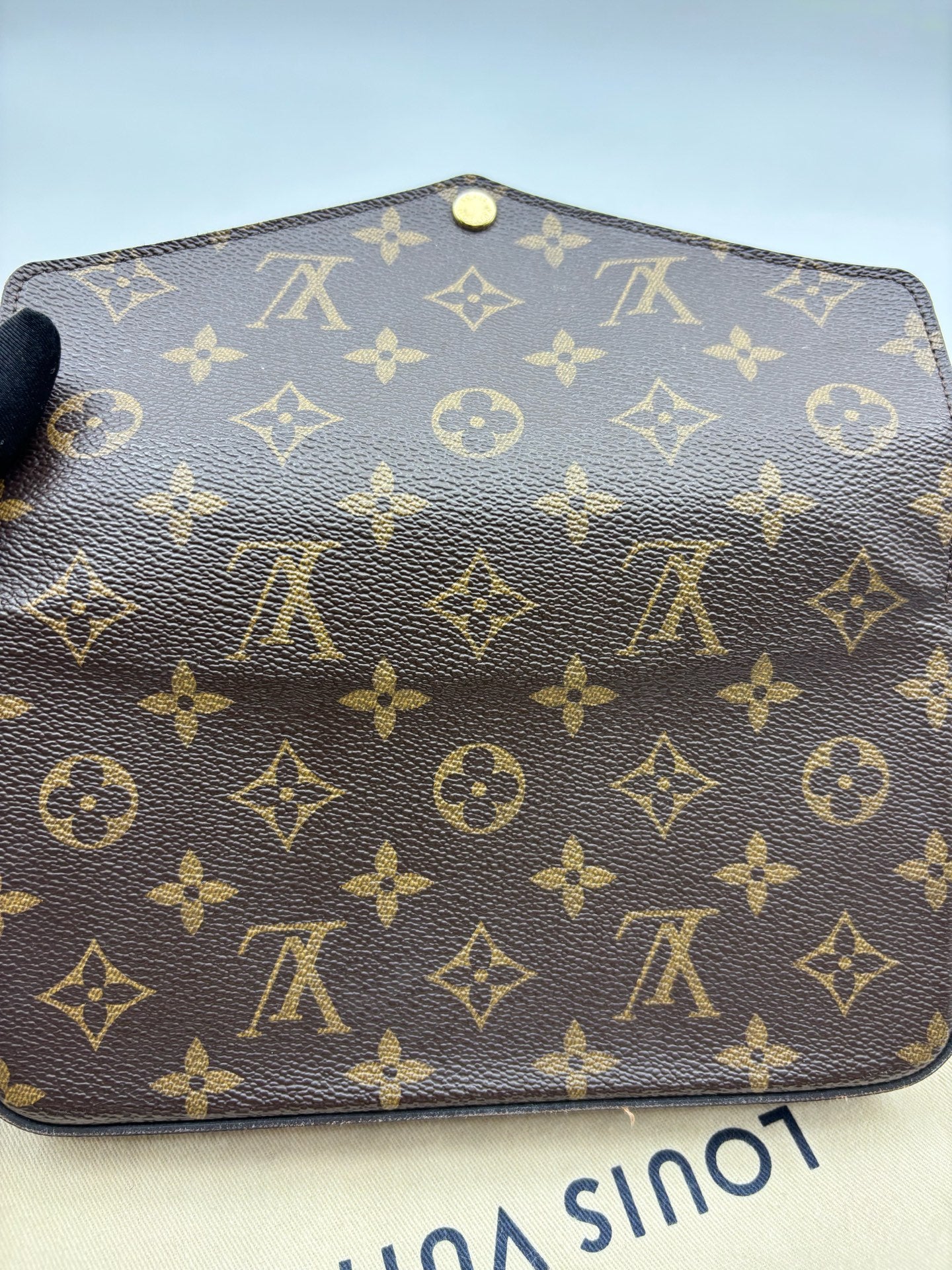 Louis Vuitton - Pochette Felicie - Leather - Brown - (mini)