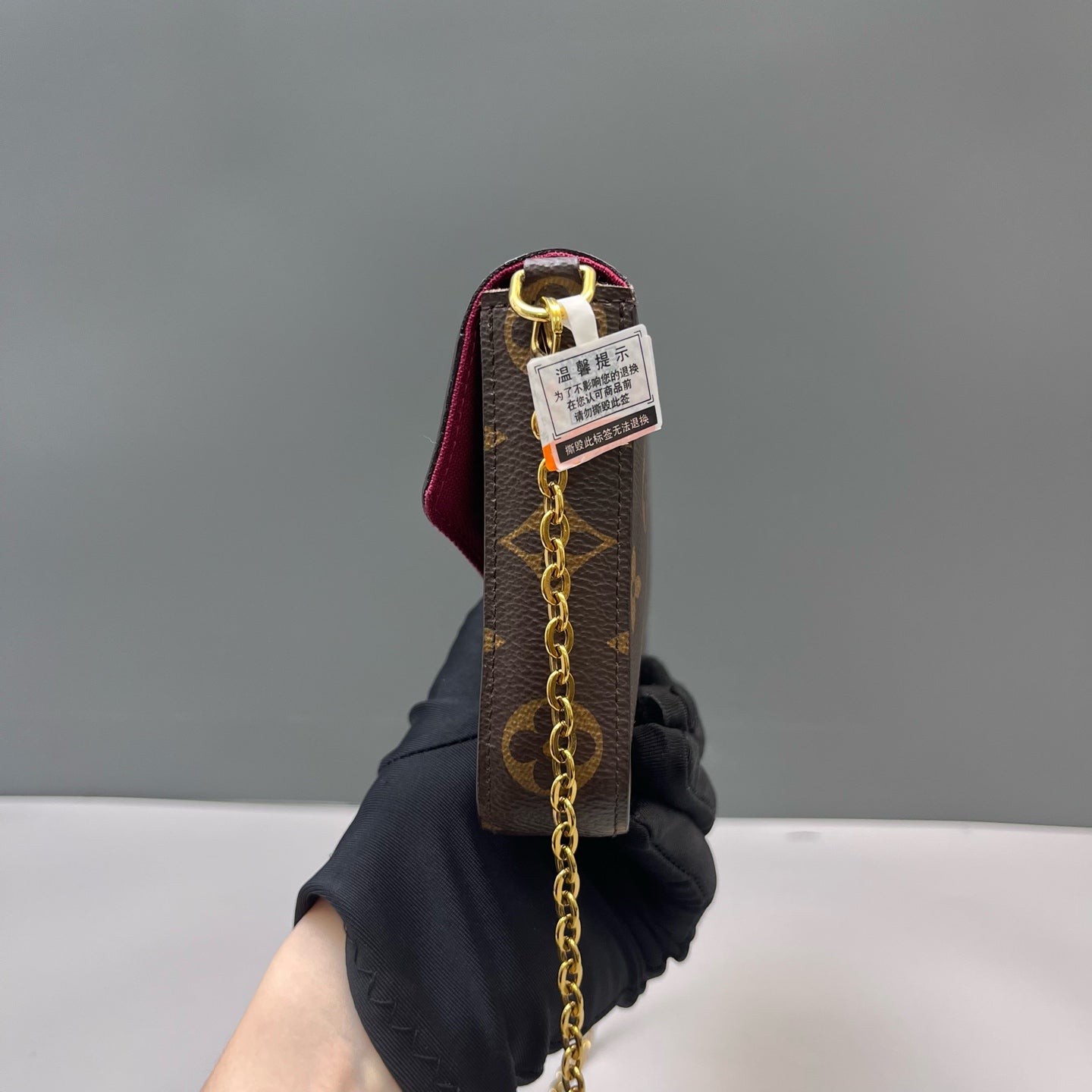 Louis Vuitton - Pochette Felicie - Synthetic - Brown - (mini)