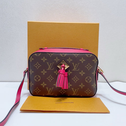 Louis Vuitton - Saintonge - Canvas - Multicolour