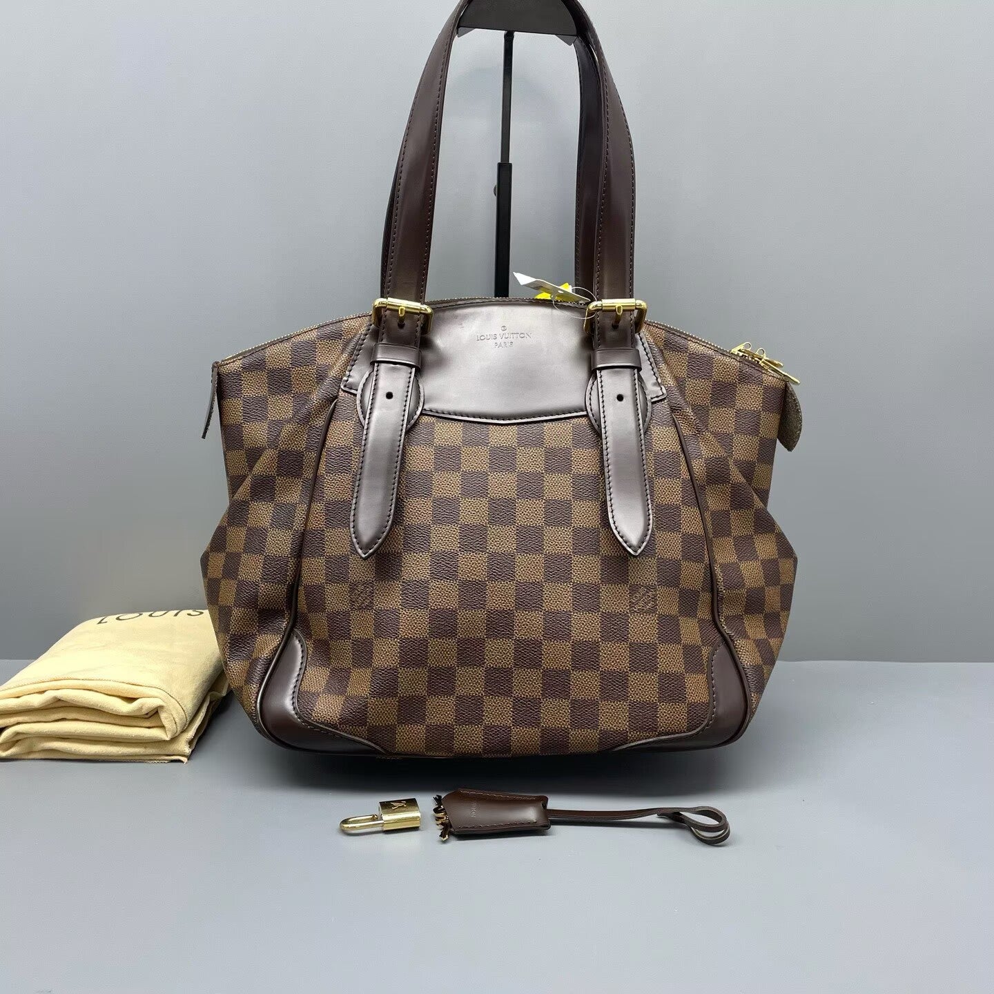 Louis Vuitton - Saleya - Damier Ebene coated canvas with leather trim - Brown - (medium)