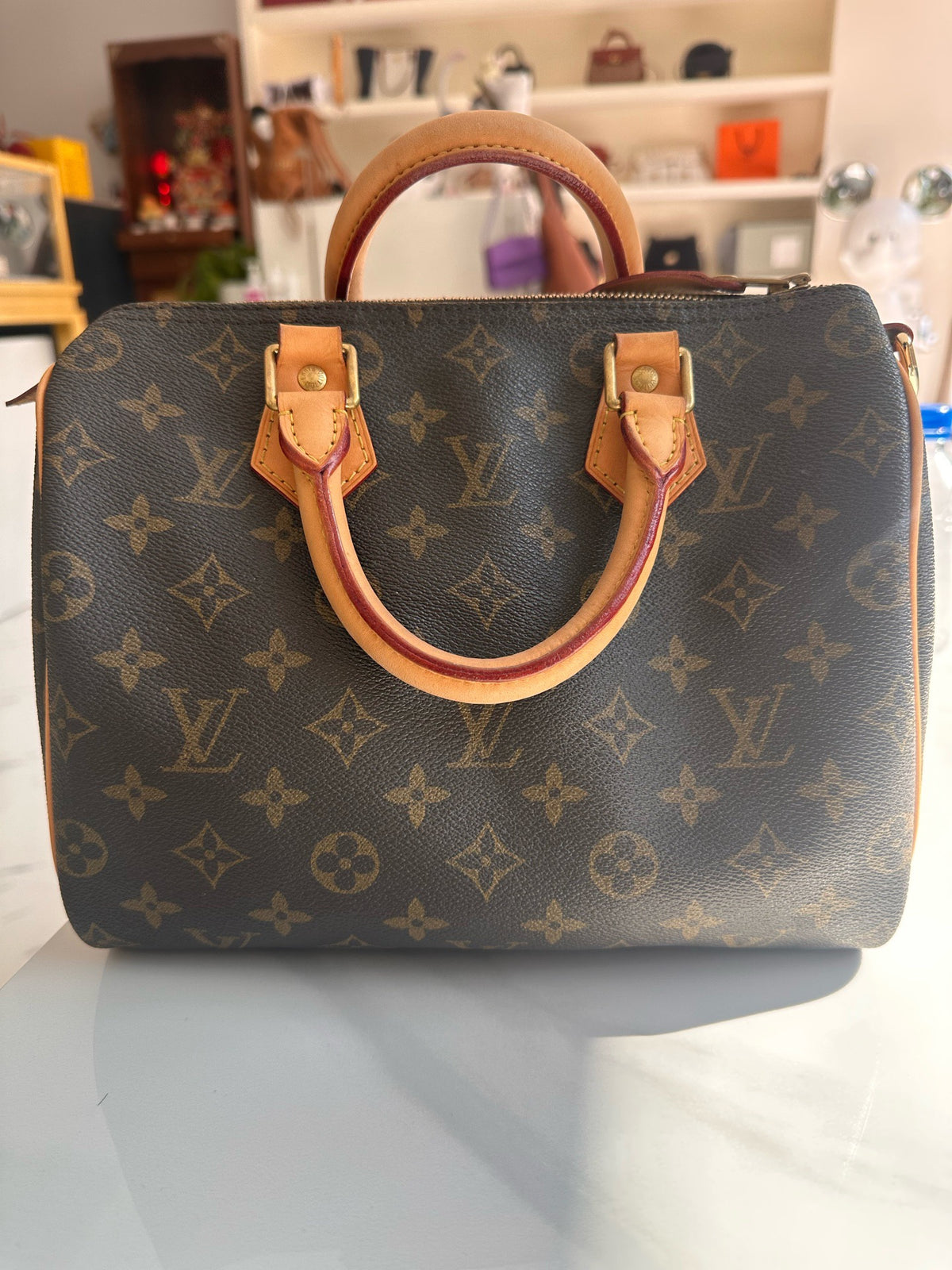 Louis Vuitton - Speedy 25 - Cloth - Black - (small)