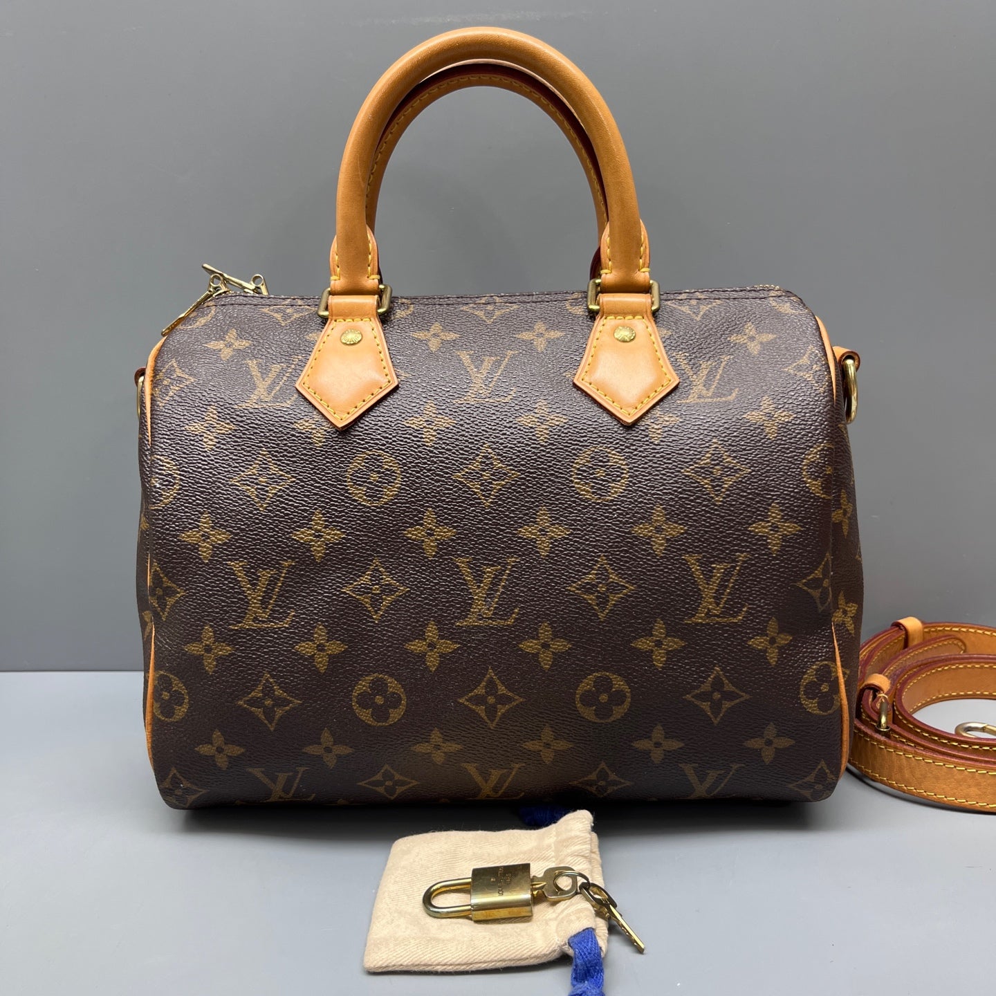 Louis Vuitton - Speedy 25 - Cloth - Brown - (small)