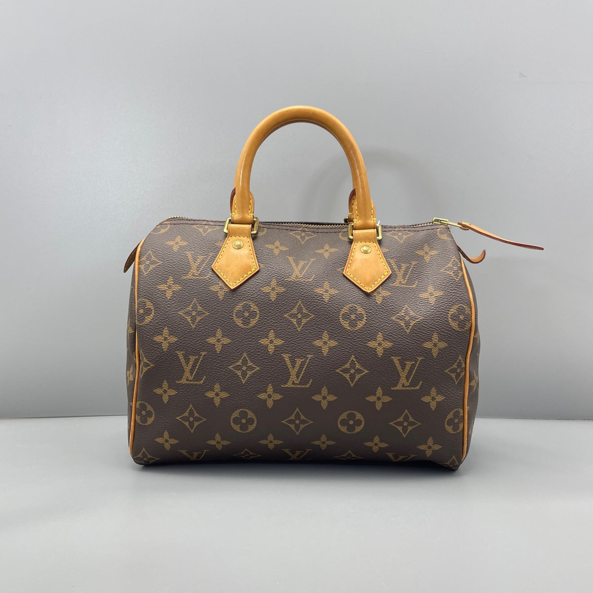 Louis Vuitton - Speedy 25 - Cloth - Brown - (small)