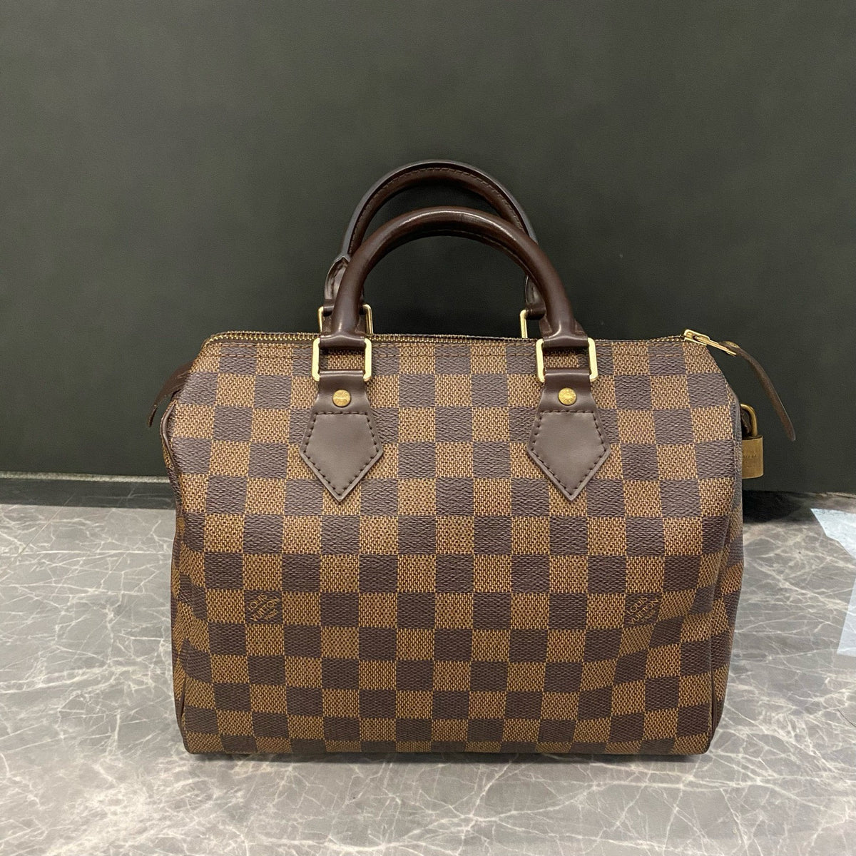 Louis Vuitton - Speedy 25 - Cloth - Brown - (small)