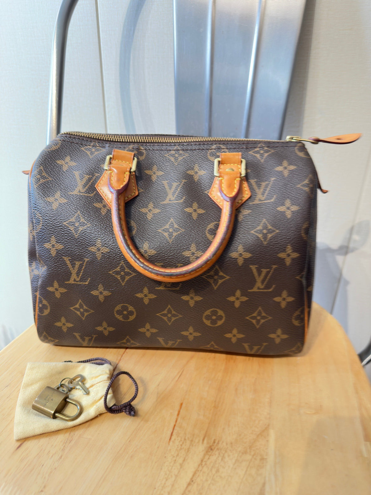 Louis Vuitton - Speedy 25 - Cloth - Brown - (small)