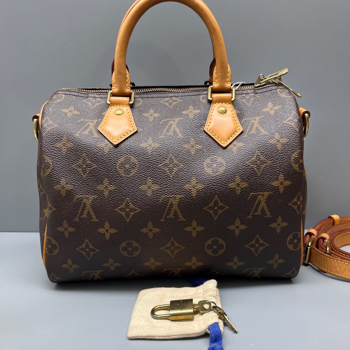 Louis Vuitton - Speedy 25 - Cloth - Brown - (small)