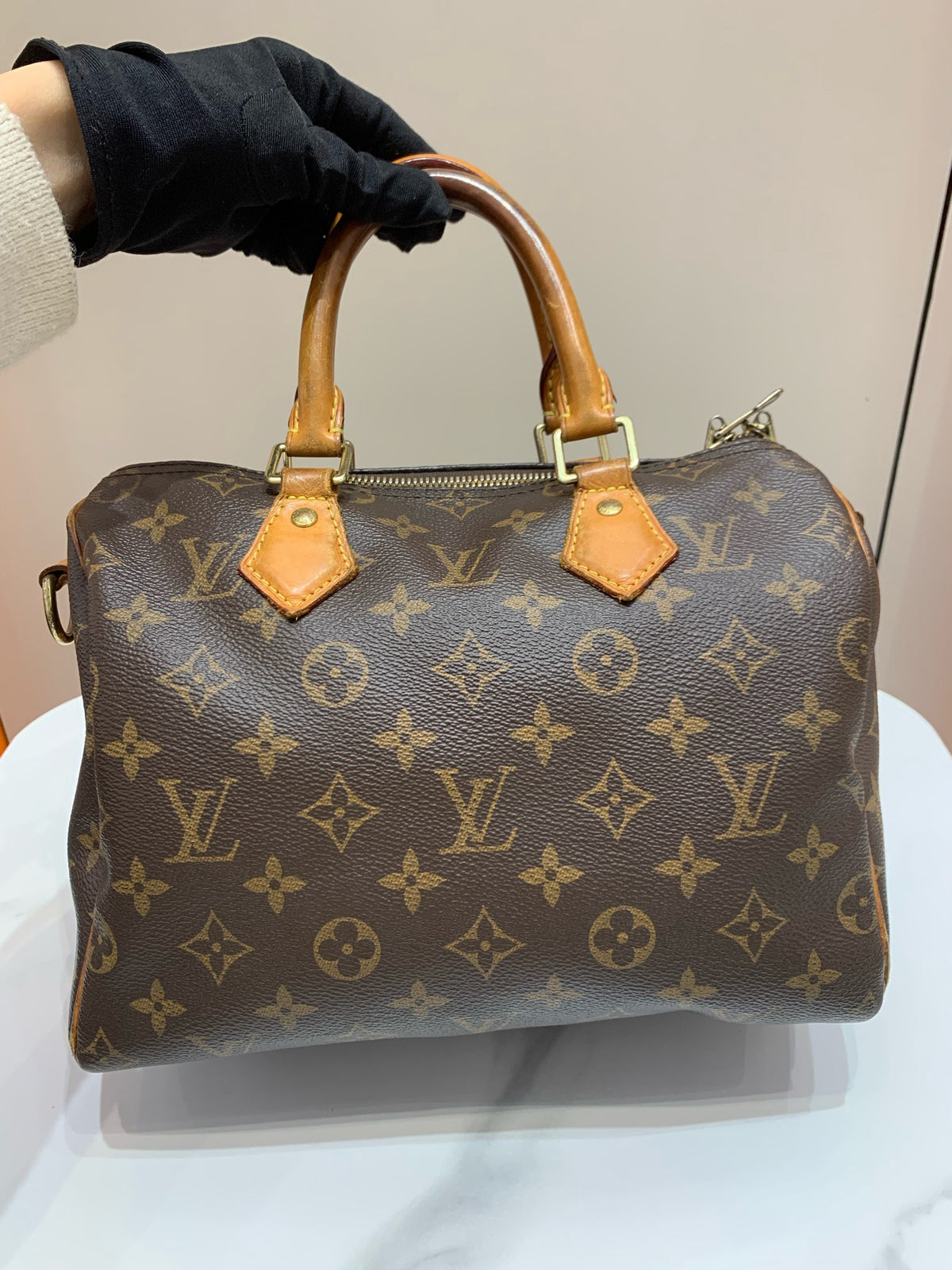 Louis Vuitton - Speedy 25 - Cloth - Brown - (small)