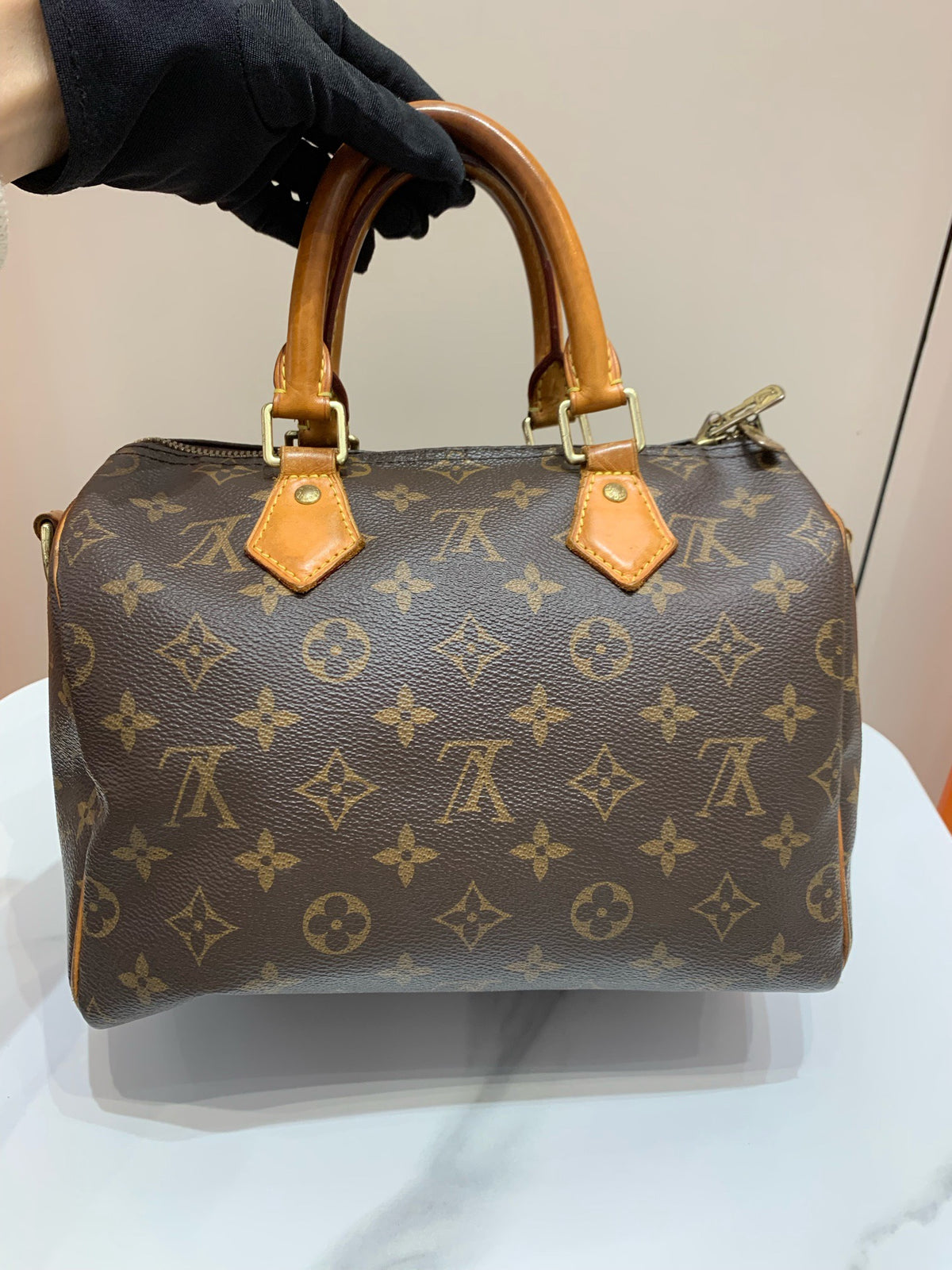 Louis Vuitton - Speedy 25 - Cloth - Brown - (small)