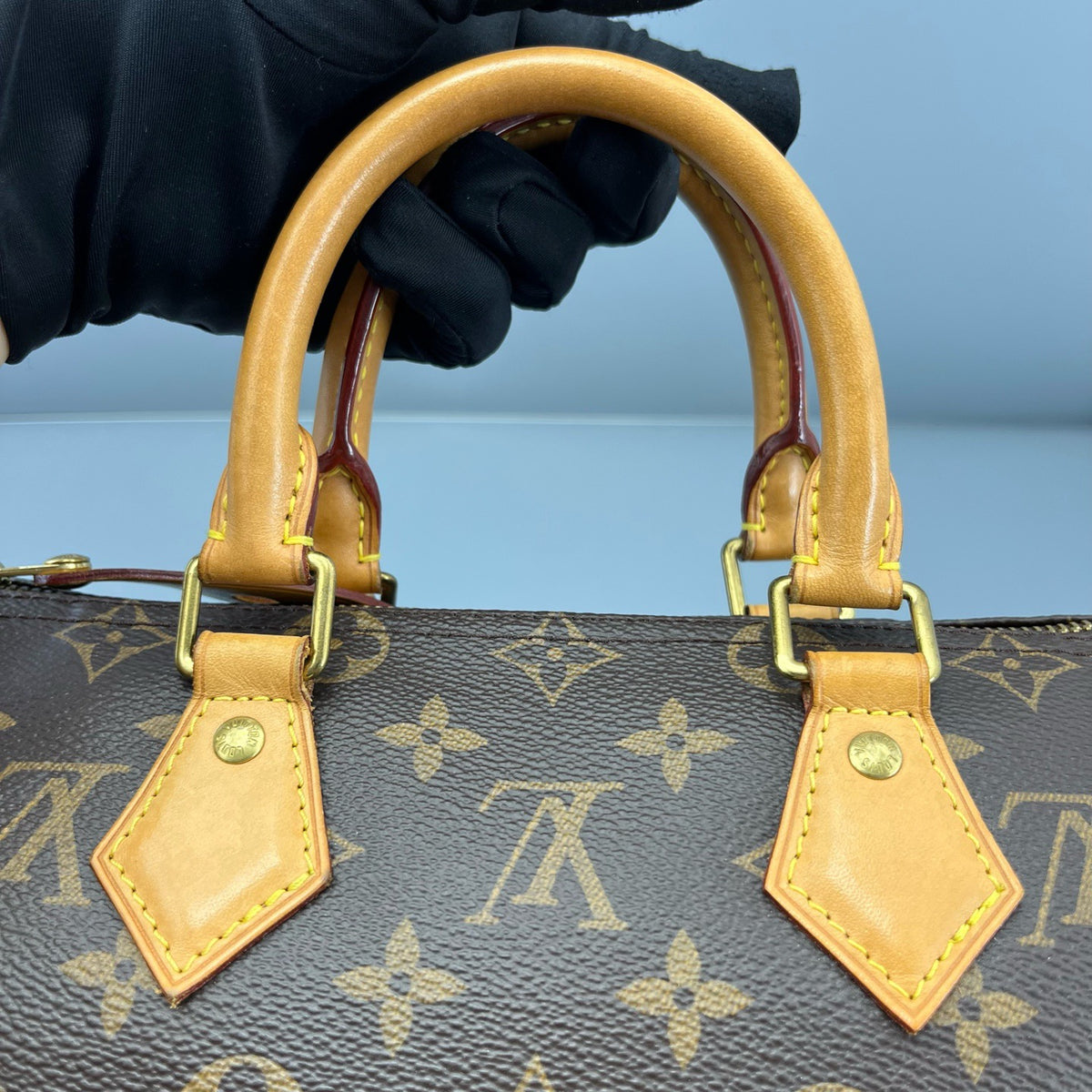 Louis Vuitton - Speedy 25 - Cloth - Brown - (small)
