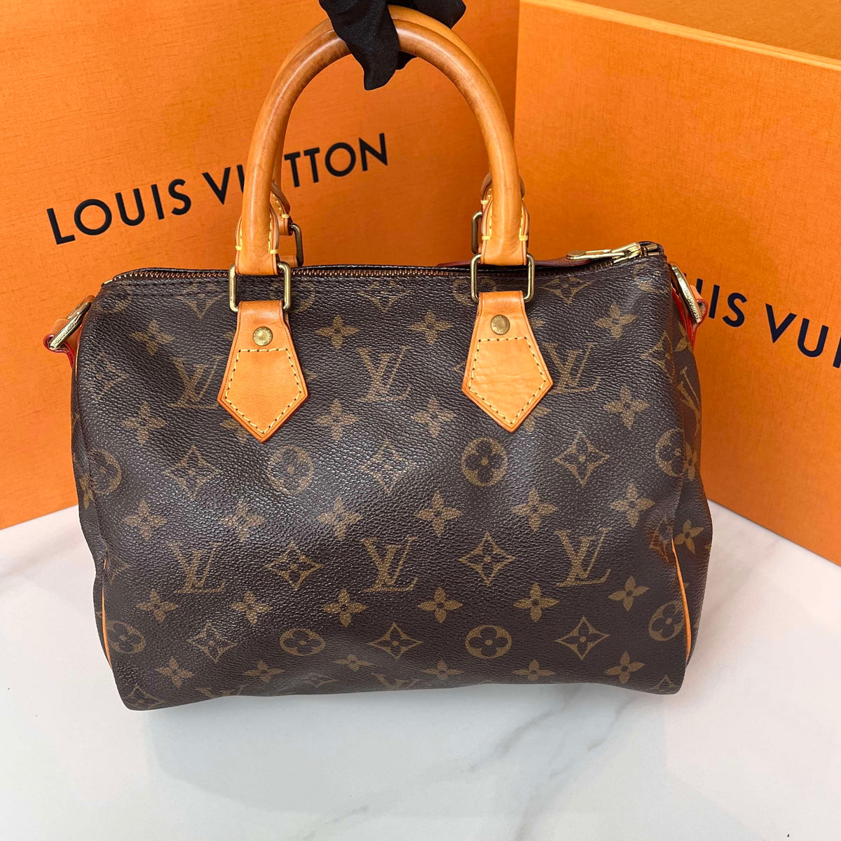 Louis Vuitton - Speedy 25 - Cloth - Brown - (small)