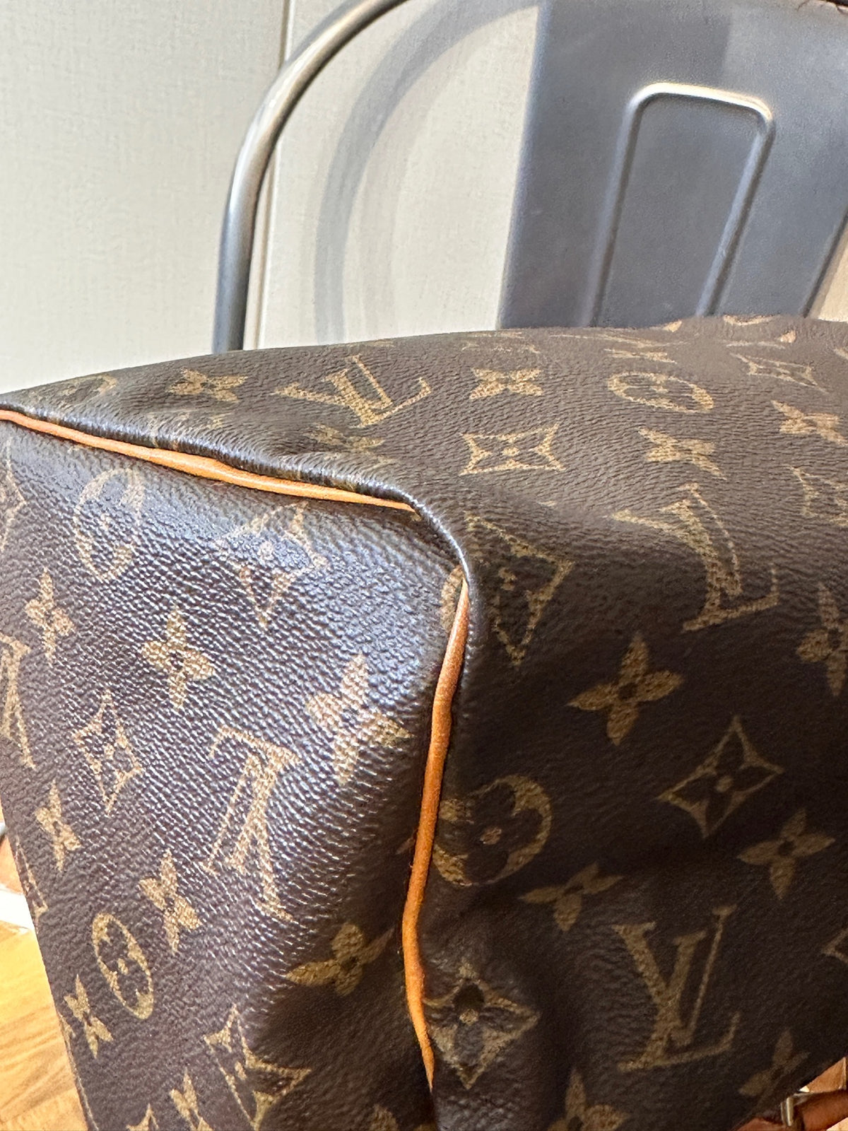Louis Vuitton - Speedy 25 - Cloth - Brown - (small)