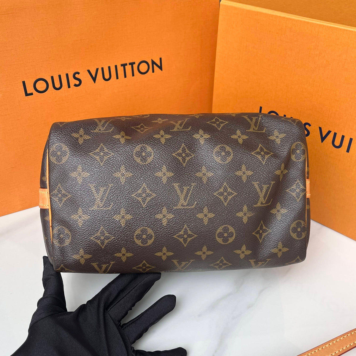 Louis Vuitton - Speedy 25 - Cloth - Brown - (small)