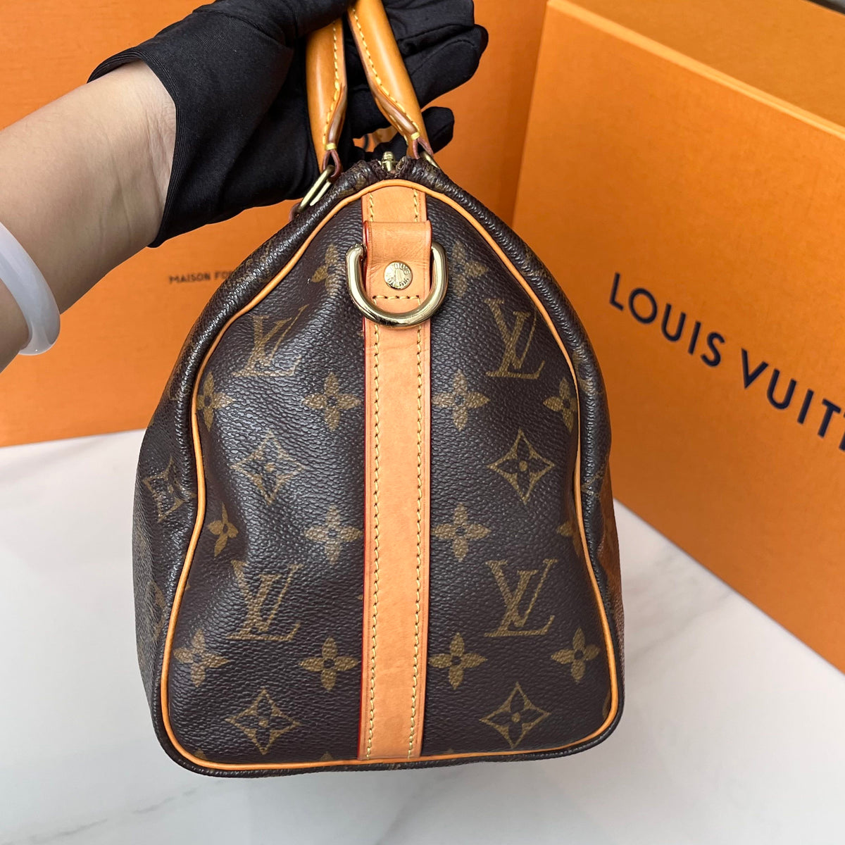 Louis Vuitton - Speedy 25 - Cloth - Brown - (small)
