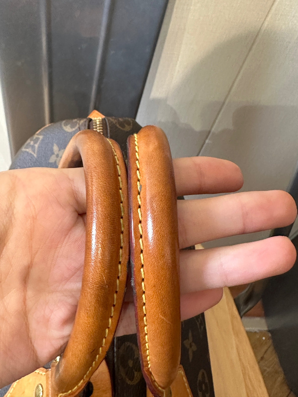 Louis Vuitton - Speedy 25 - Cloth - Brown - (small)