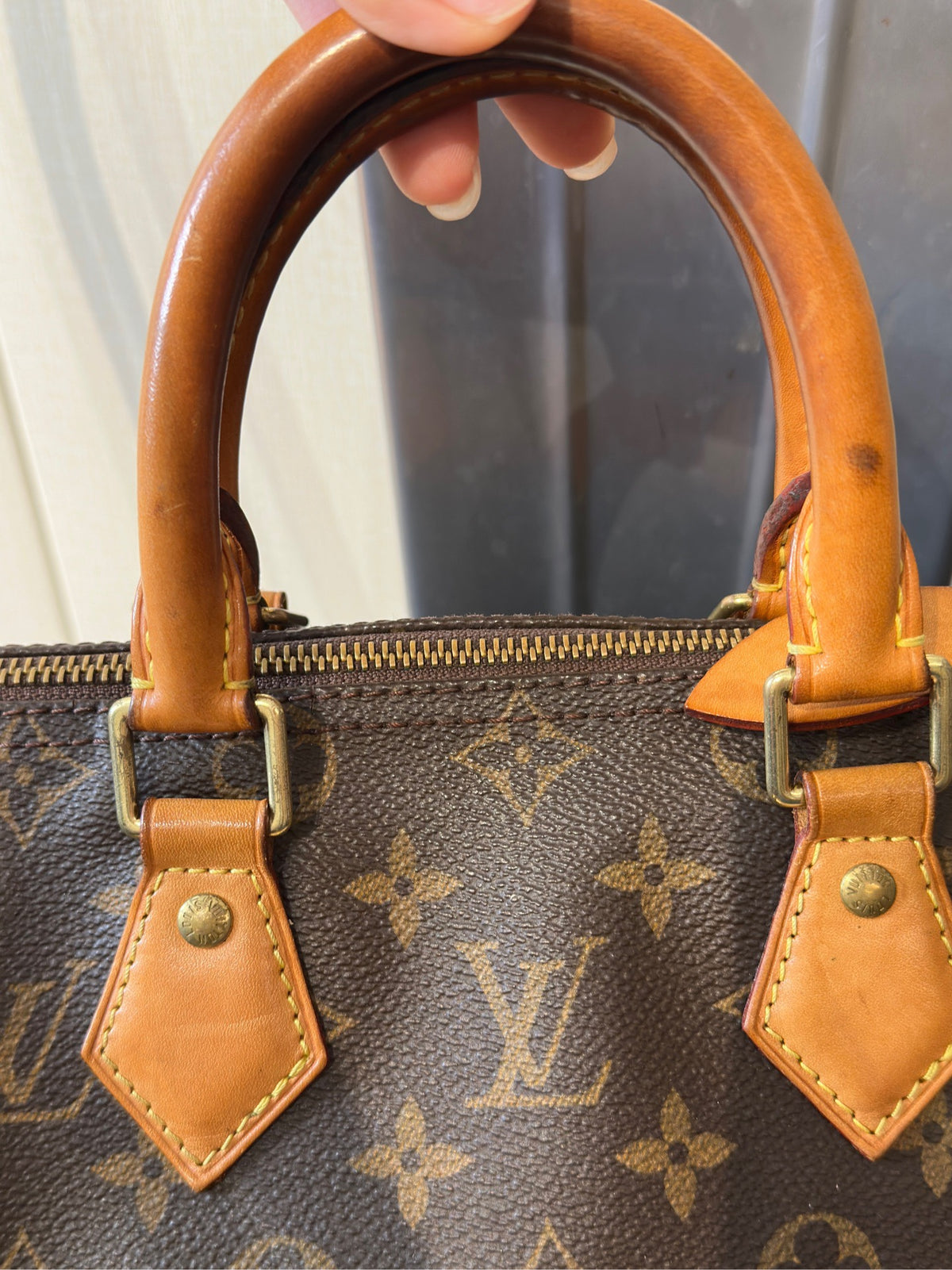 Louis Vuitton - Speedy 25 - Cloth - Brown - (small)