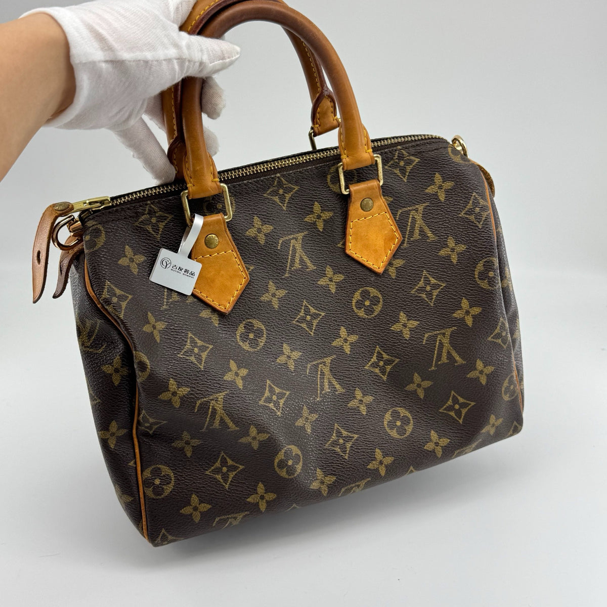 Louis Vuitton - Speedy 25 - Cloth - Brown - (small)