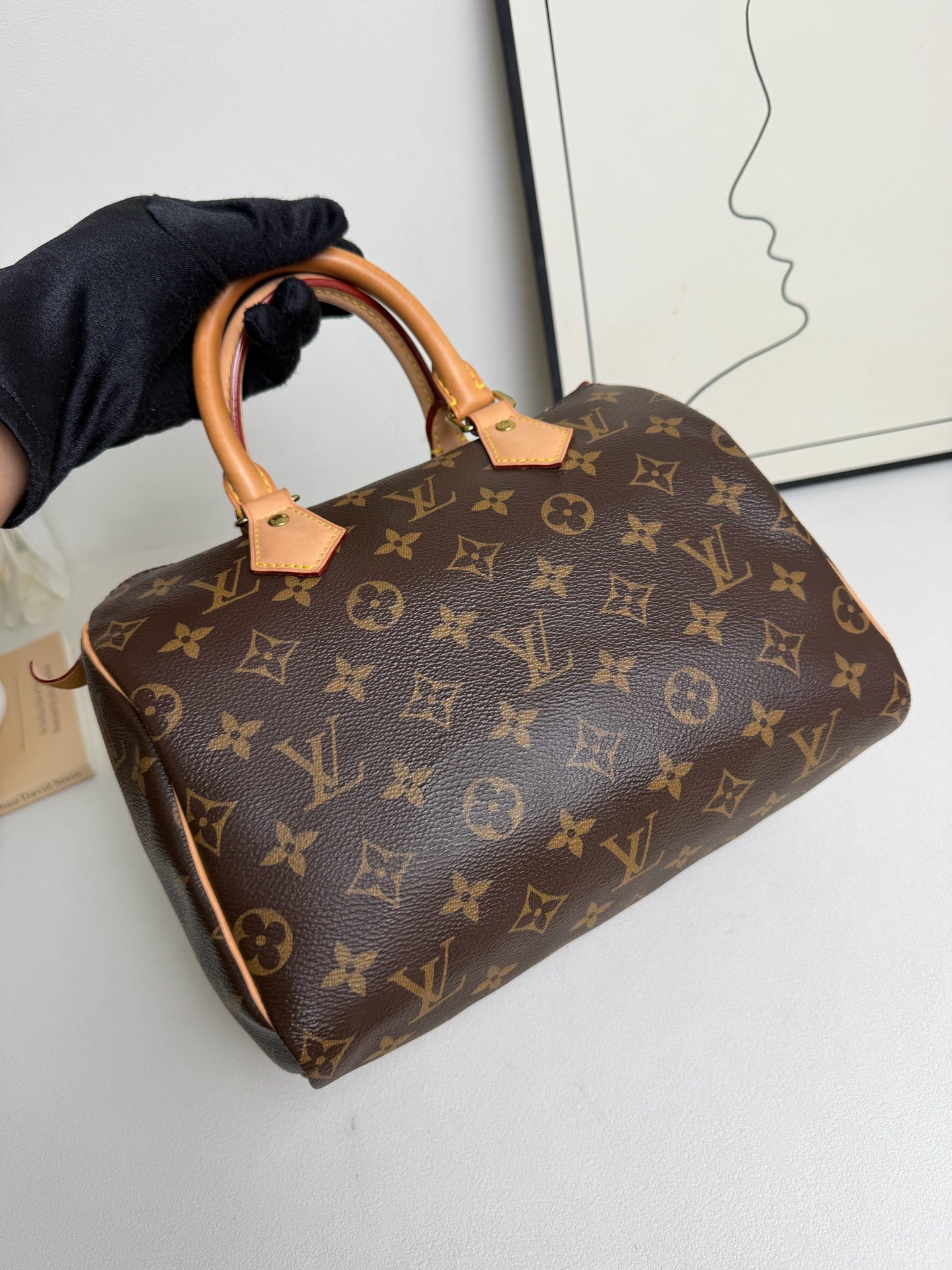 Louis Vuitton - Speedy 25 - Leather - Brown - (medium)
