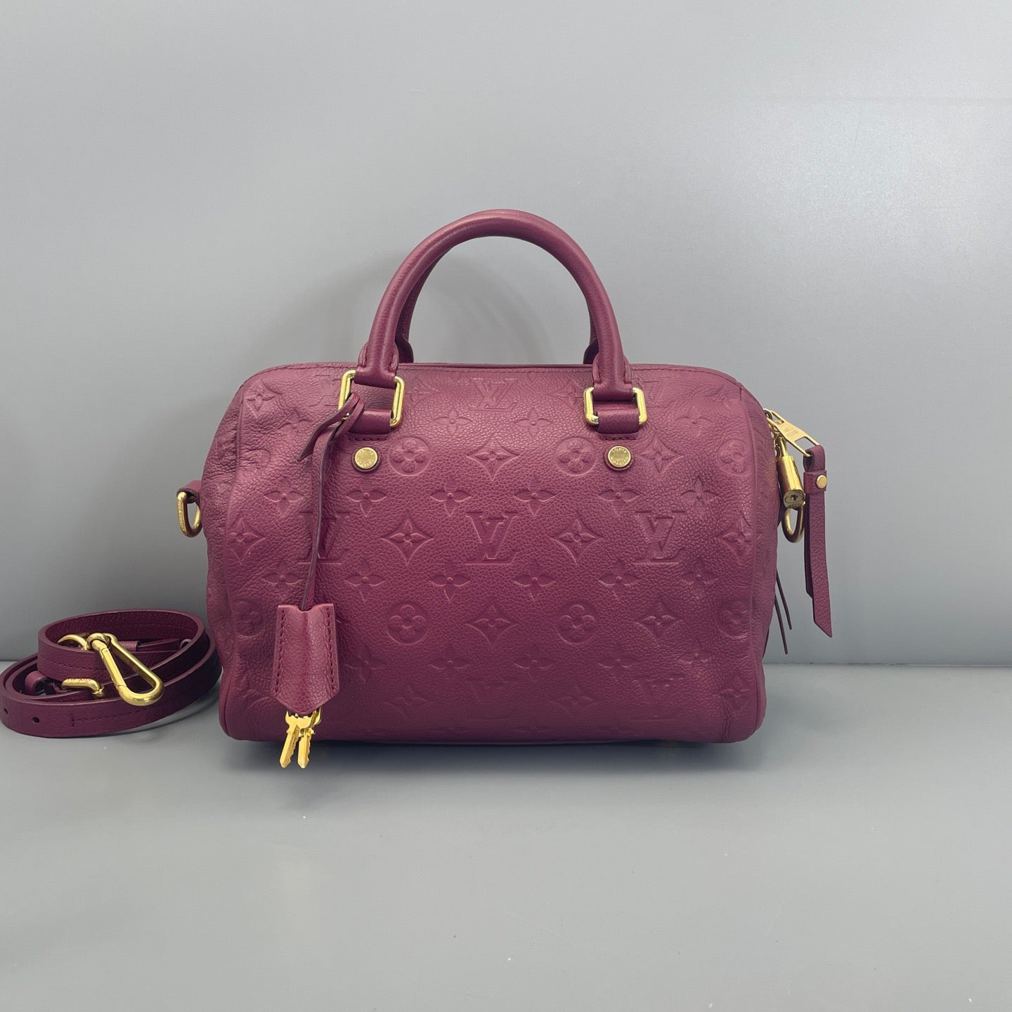 Louis Vuitton - Speedy 25 - Leather - Purple - (25)