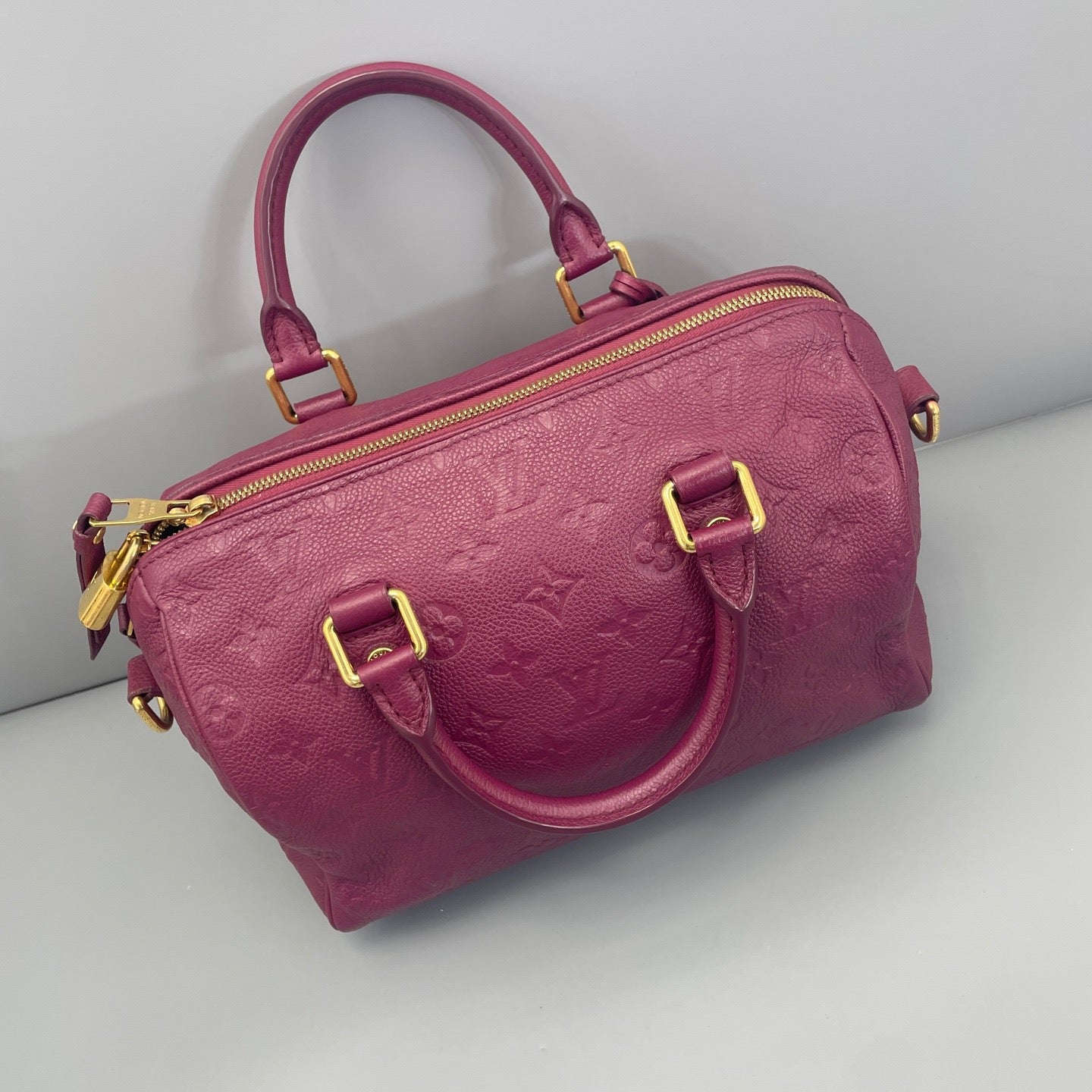 Louis Vuitton - Speedy 25 - Leather - Purple - (25)
