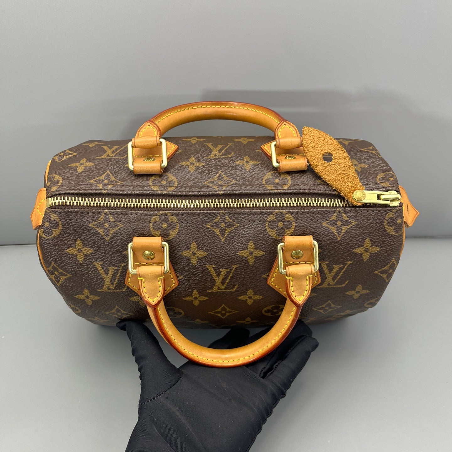 Louis Vuitton - Speedy 25 - Synthetic - Brown - (mini)