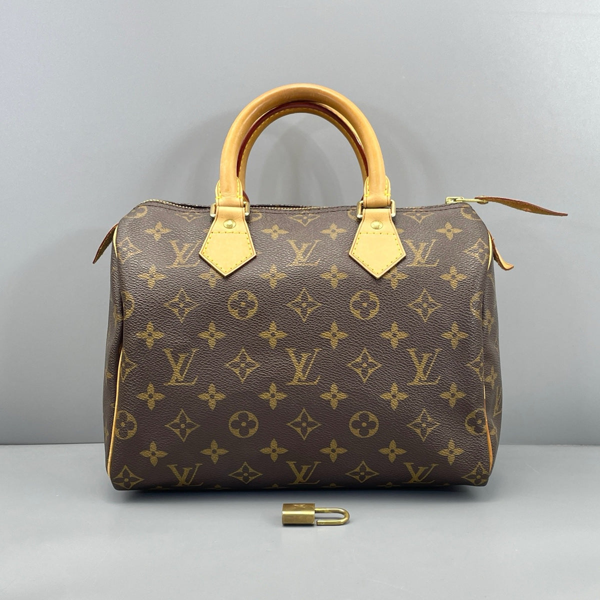Louis Vuitton - Speedy 25 - Synthetic - Brown - (small)