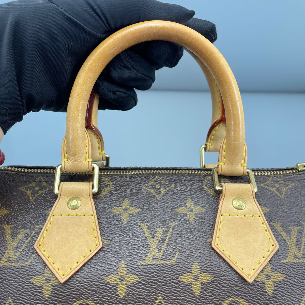 Louis Vuitton - Speedy 25 - Synthetic - Brown - (small)