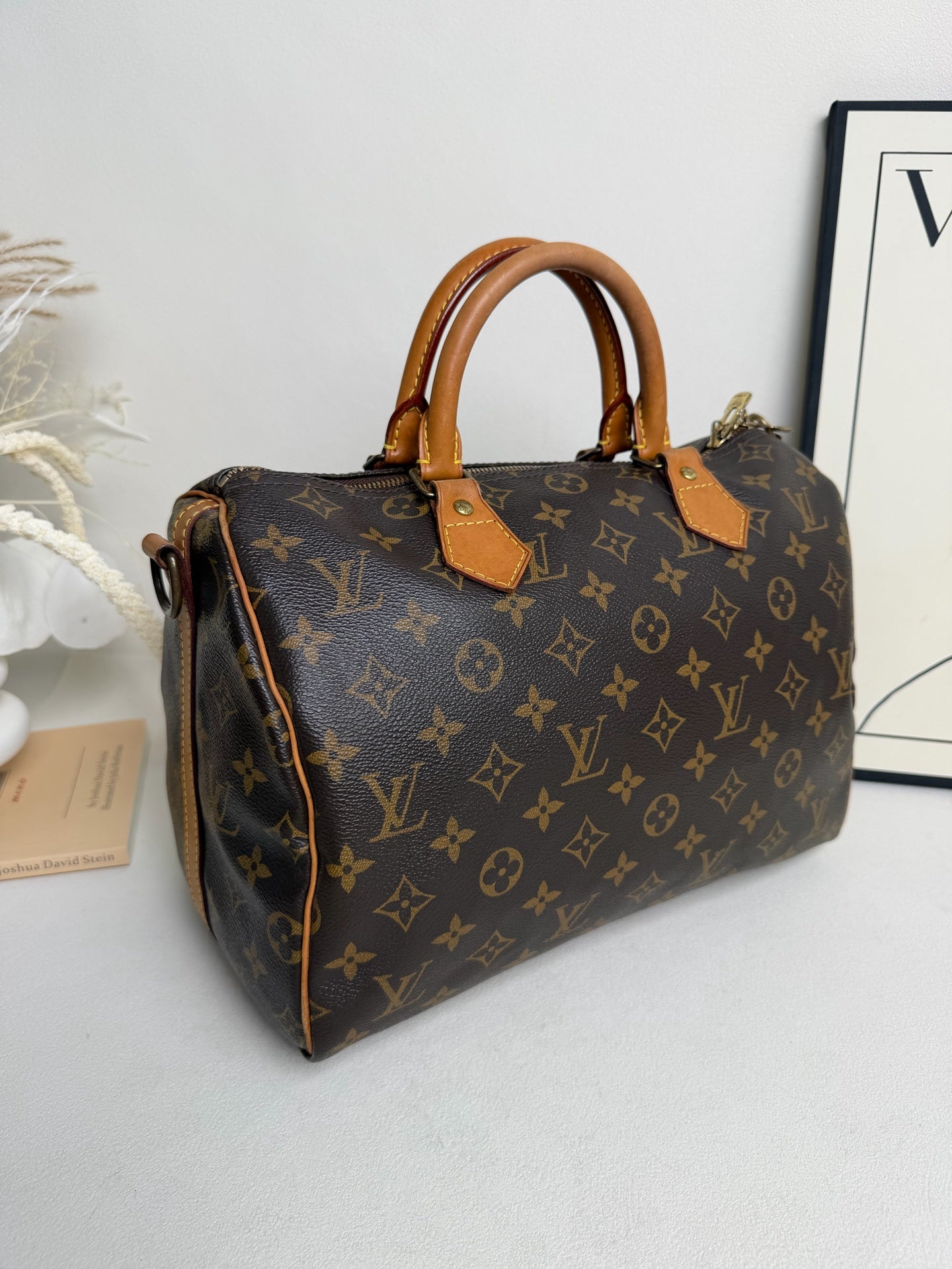 Louis Vuitton - Speedy 30 - Cloth - Brown - (30)