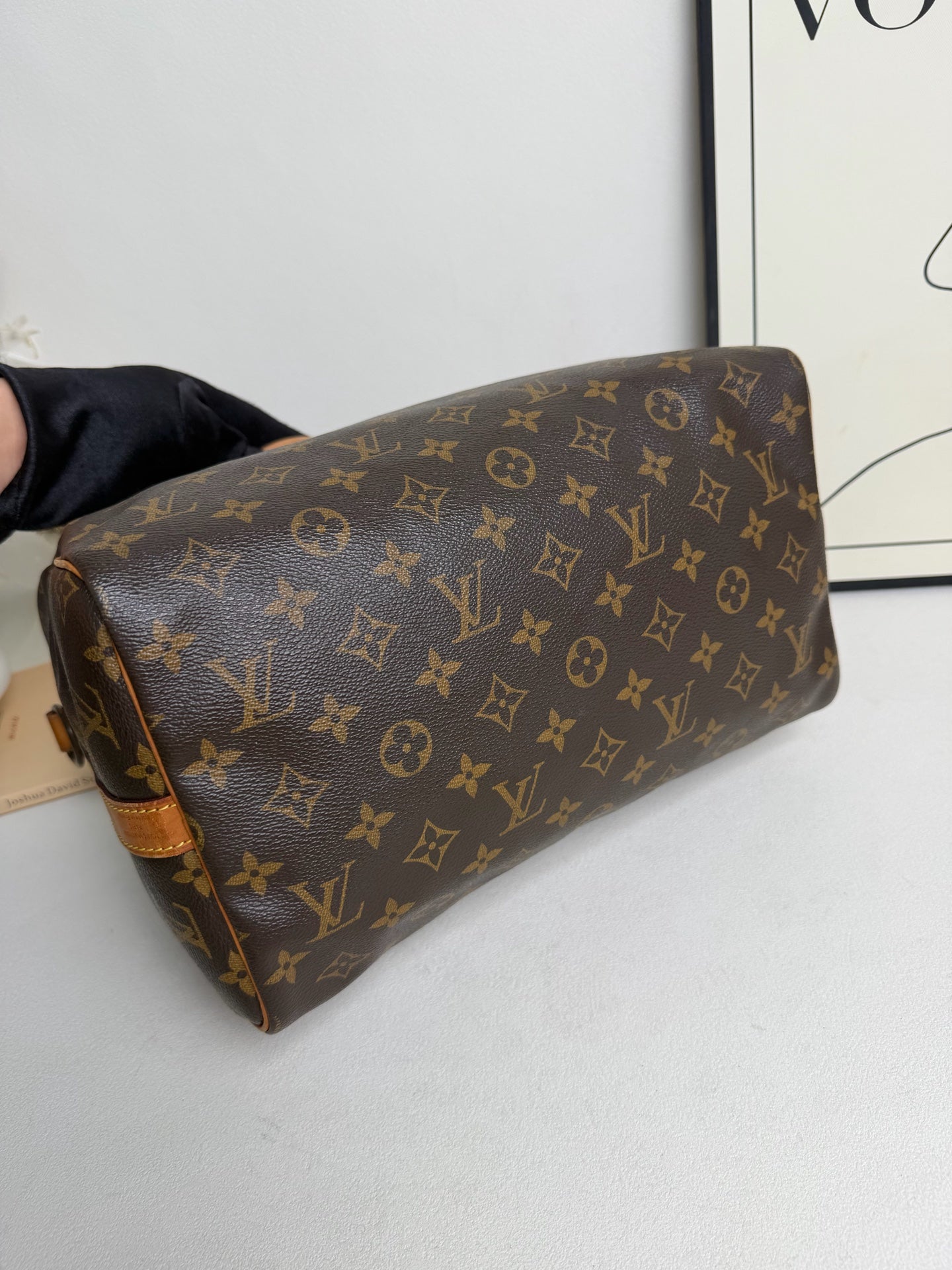 Louis Vuitton - Speedy 30 - Cloth - Brown - (30)