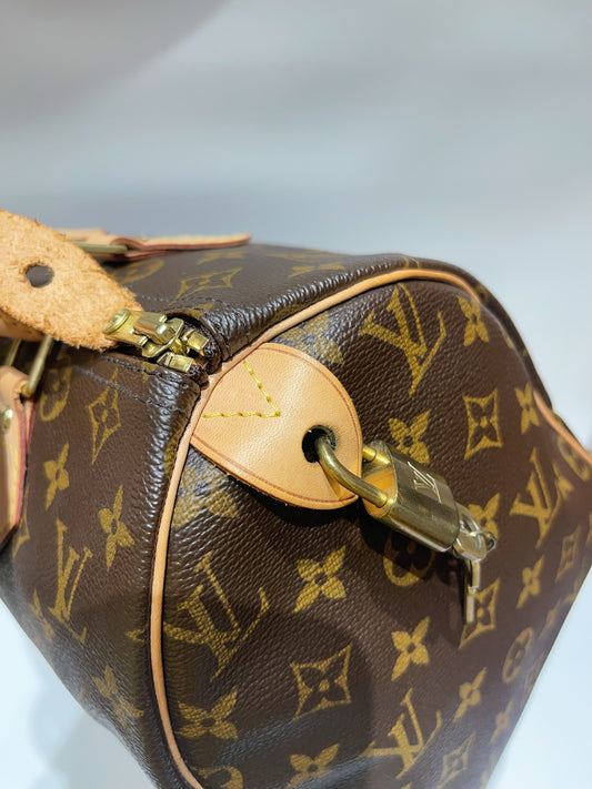 Louis Vuitton - Speedy 30 - Cloth - Brown - (medium)