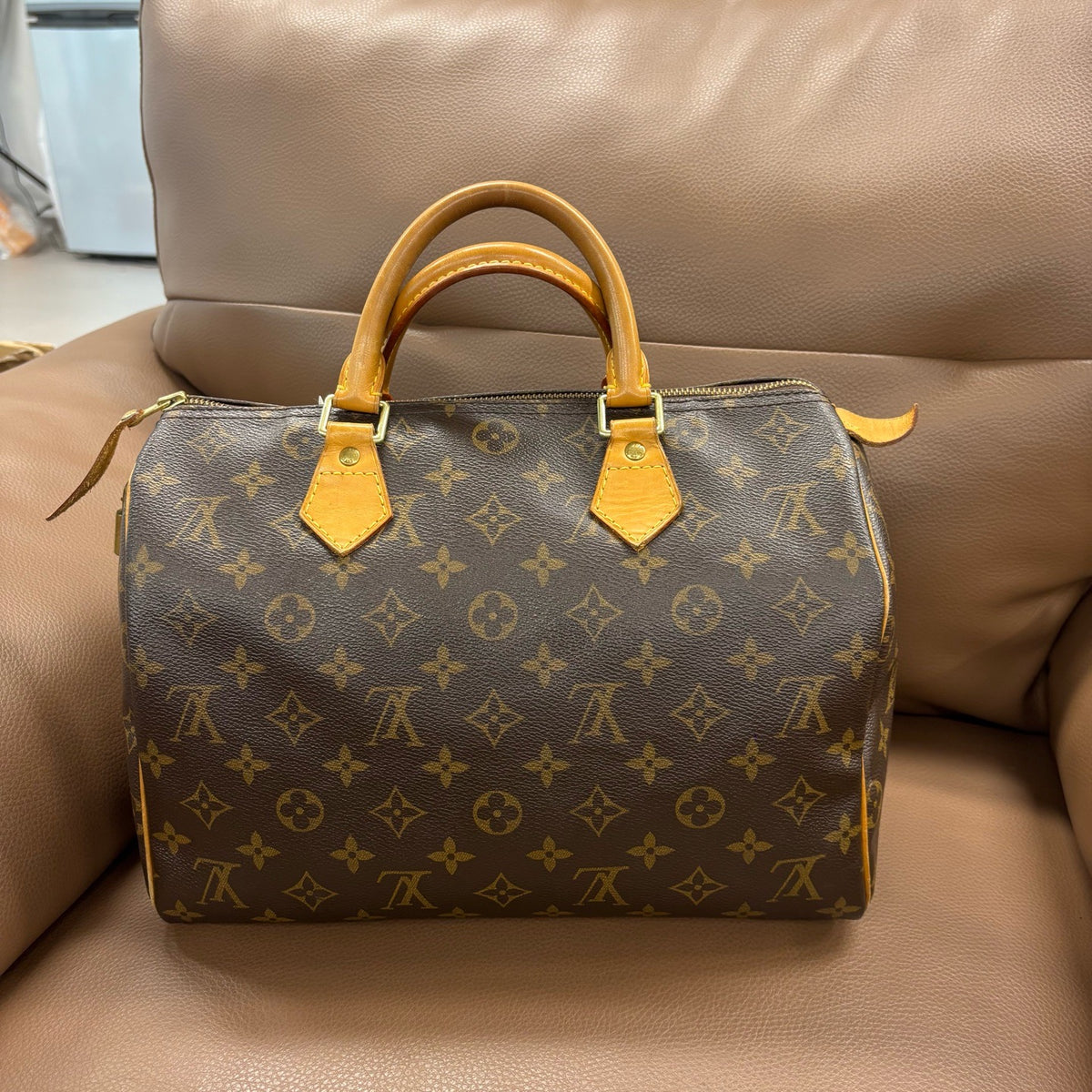 Louis Vuitton - Speedy 30 - Cloth - Brown - (medium)