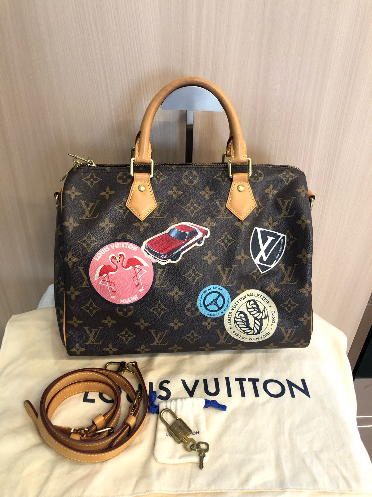 Louis Vuitton - Speedy 30 - Cloth - Brown - (medium)
