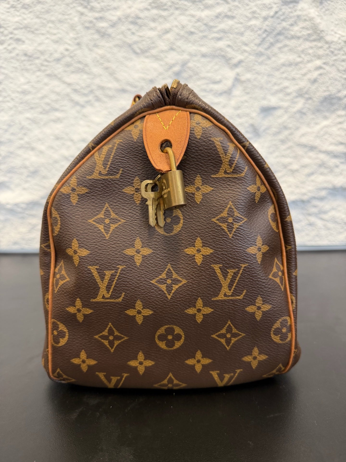 Louis Vuitton - Speedy 30 - Cloth - Brown - (medium)
