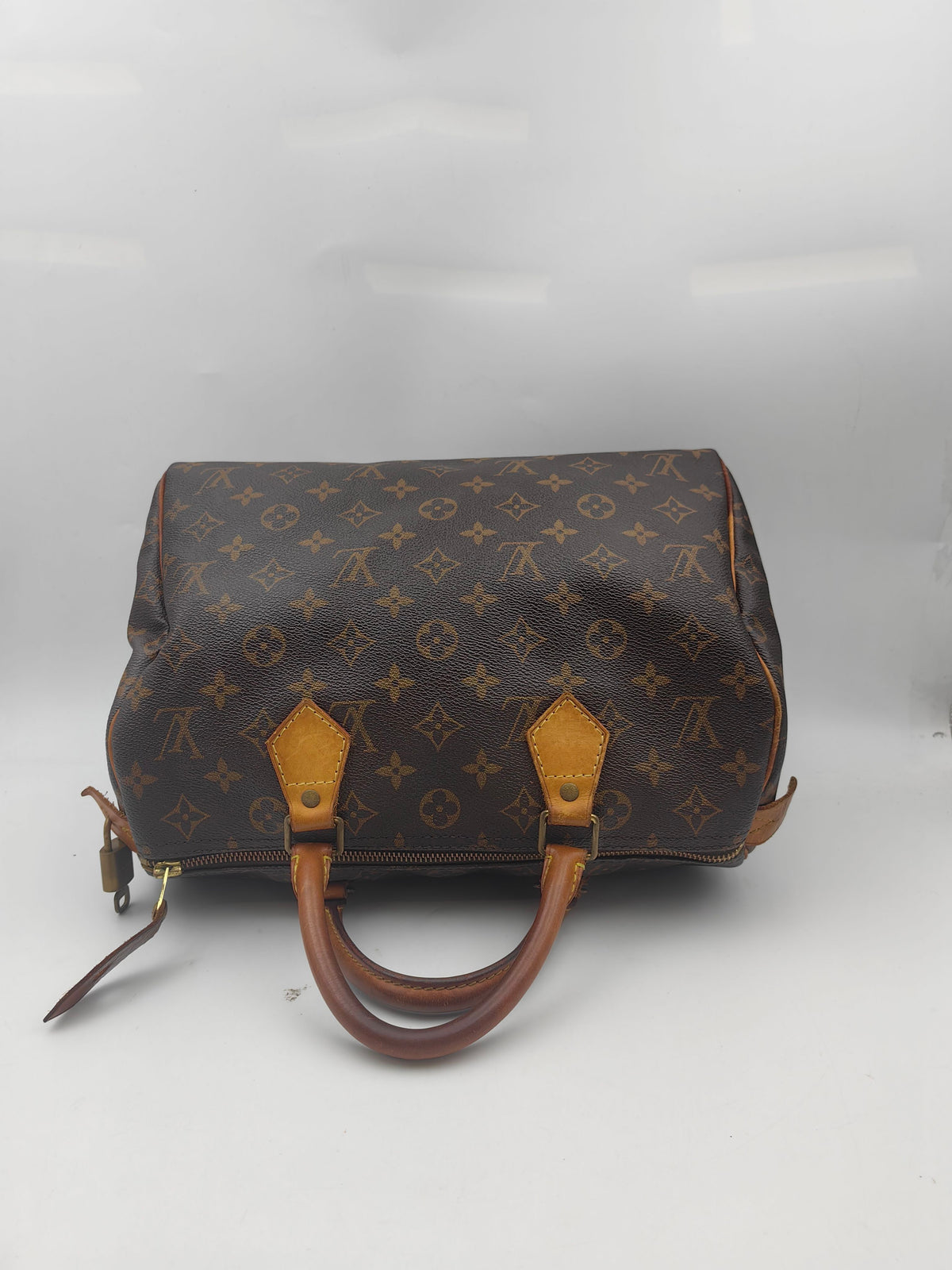 Louis Vuitton - Speedy 30 - Cloth - Brown - (medium)
