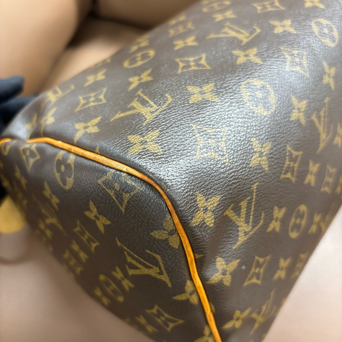 Louis Vuitton - Speedy 30 - Cloth - Brown - (medium)