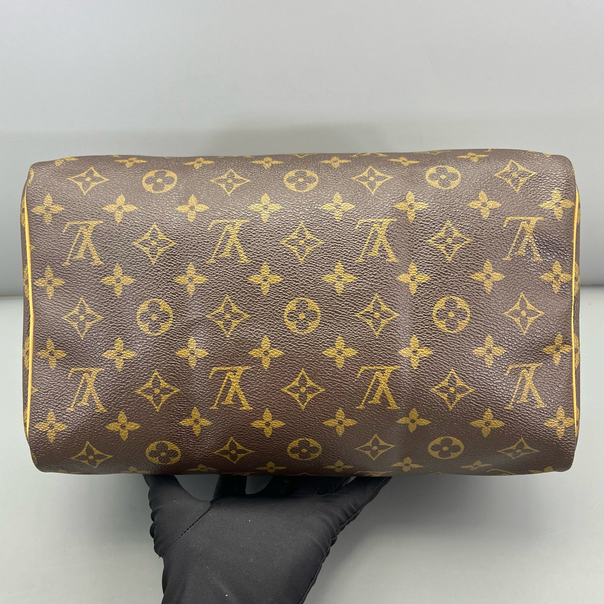 Louis Vuitton - Speedy 30 - Cloth - Brown - (medium)